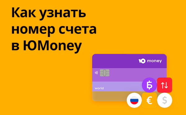 Как узнать номер счета ЮМани